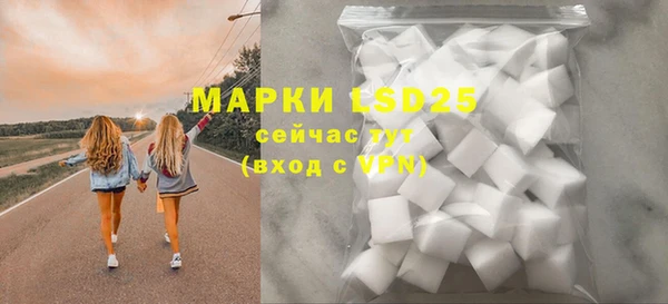 ешки Пересвет