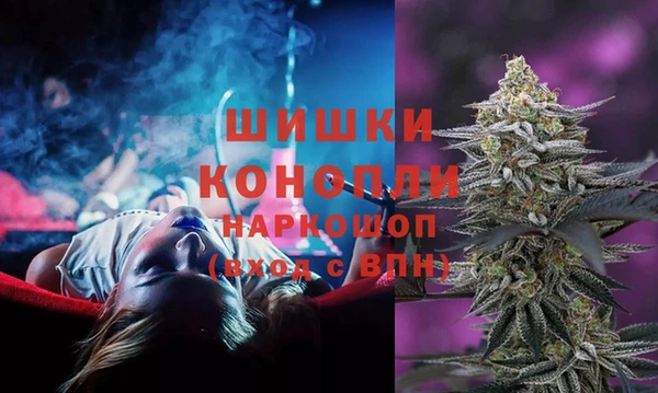 тгк Пестово