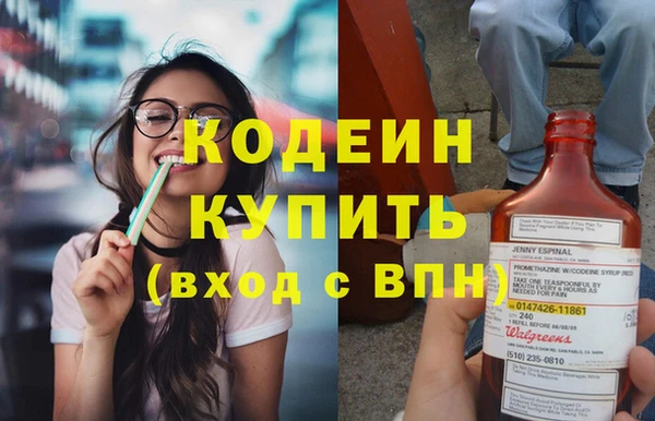 ешки Пересвет