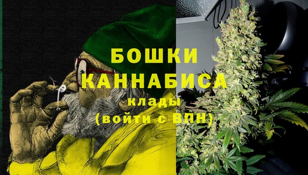 ешки Пересвет
