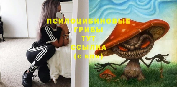 ешки Пересвет