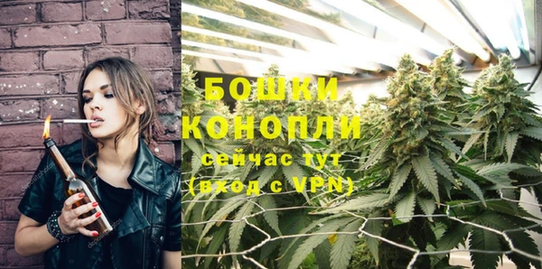 тгк Пестово