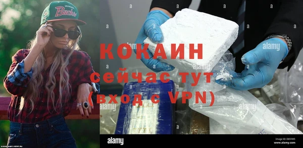 ешки Пересвет
