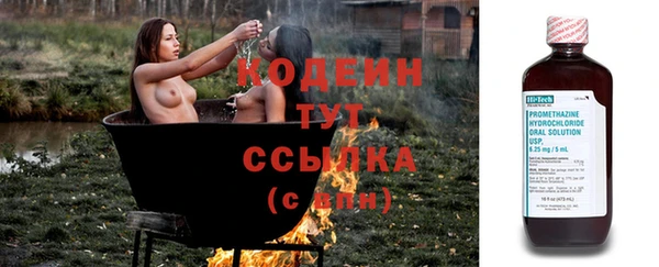 ешки Пересвет