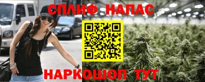 дурь Шелехов