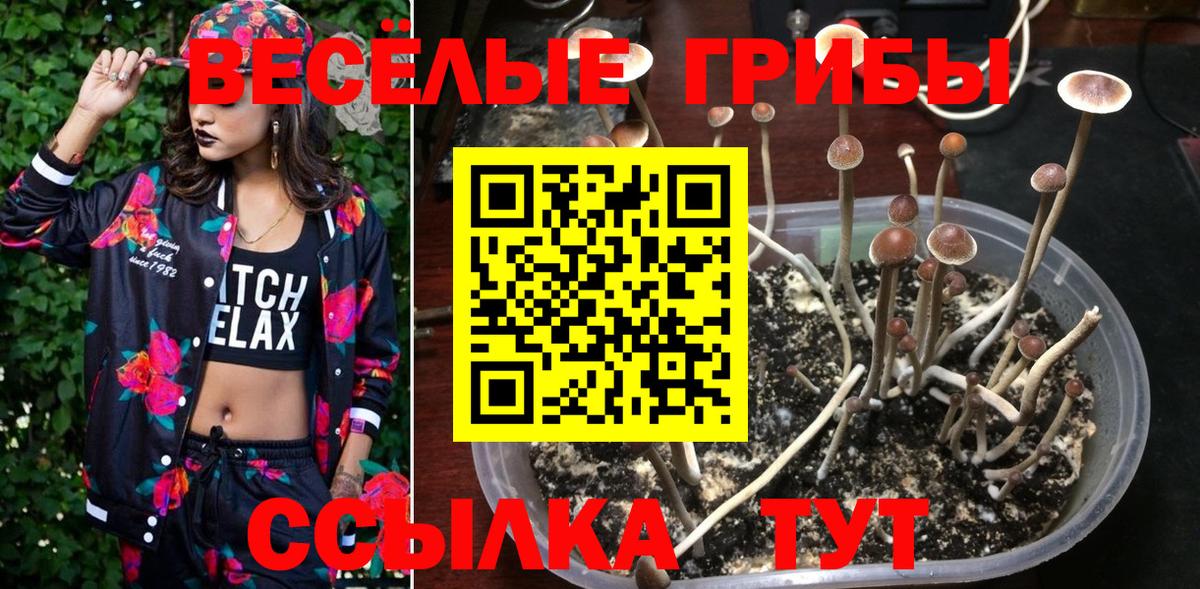 Галлюциногенные грибы Cubensis Альметьевск