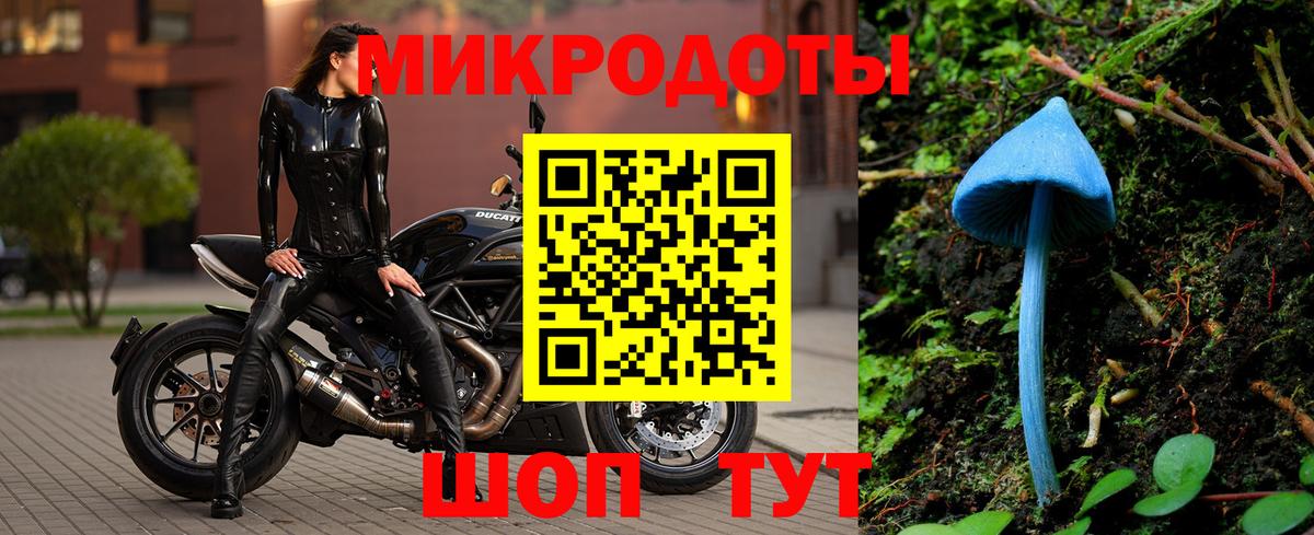 Галлюциногенные грибы MAGIC MUSHROOMS  Галлюциногенные грибы Cubensis  Альметьевск 