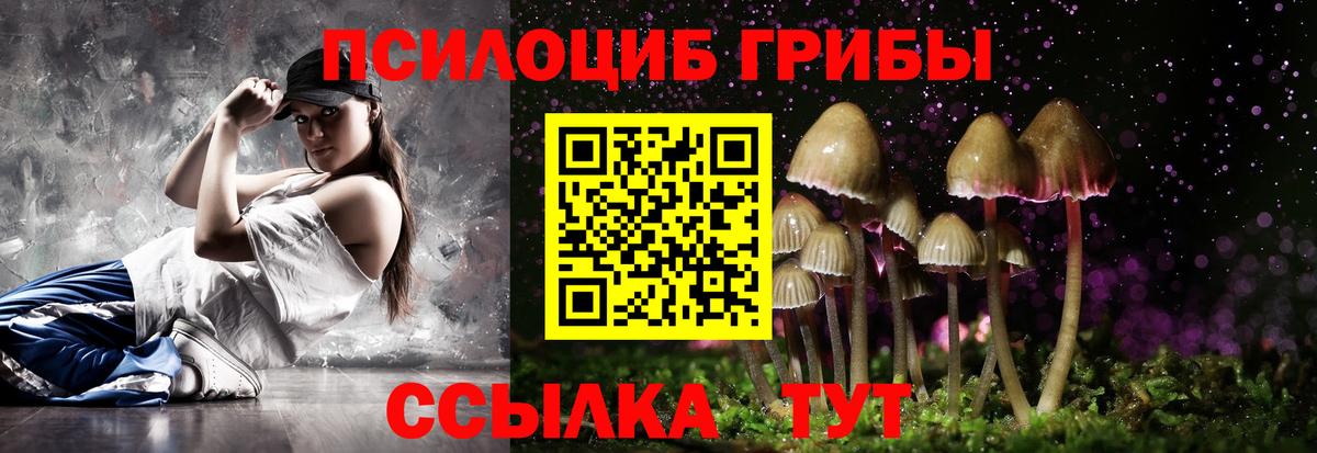 Псилоцибиновые грибы мицелий  Вход с VPN  Альметьевск 