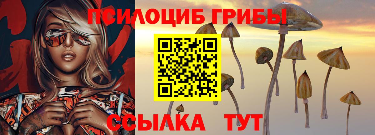 Псилоцибиновые грибы Psilocybe Альметьевск